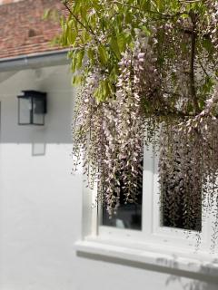 Proche Paris et Disney-calme absolu - 9