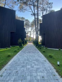 Buxus Villas Shekvetili - 1