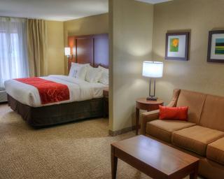 Comfort Suites Plymouth near US-30 - Plymouth - 9