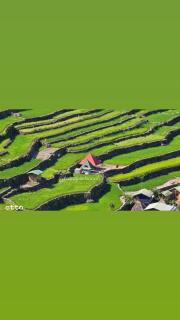 Batad Pension PH - Banaue - 1