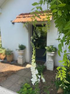 La Petite Maison - 3