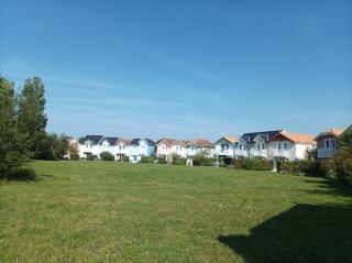 Pomme - Talmont - 8