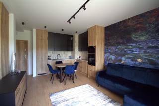 Apartamenty Lesko 36 - Lesko - 9