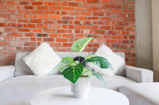 Bachelor apartment in Cape Town - Cidade Do Cabo - 3
