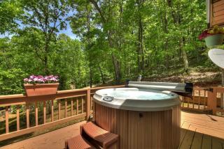 Goldfinch Rustic - Retreat w Hot Tub& Fire Pit - 0
