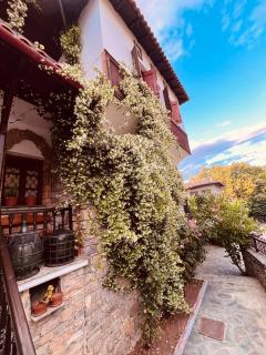 9mouses Chasiotis Guest House - Ampelakia - 4