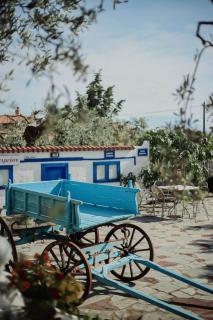 Resort Dimitris - Alexandroupoli - 3