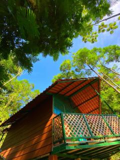Las Arrieras Nature Reserve and Ecolodge - Horquetas - 0
