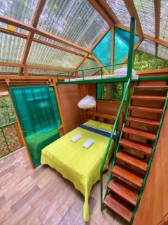 Las Arrieras Nature Reserve and Ecolodge - Horquetas - 7