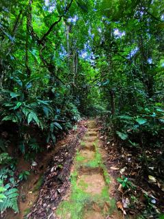 Las Arrieras Nature Reserve and Ecolodge - Horquetas - 5