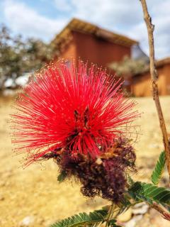 Bangalôs da Montanha - 2