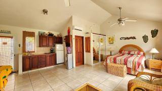Ocean Dream Artist Loft 1st See Line - Cabarete - 8