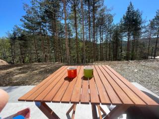 Leona B-1 apartman Živojinović - Divčibare - 7