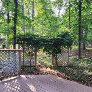 Massanutten Resort Home - Quiet, Convenient, Family- and Pet-Friendly - 8