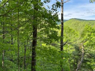A Rustic Hideout - Ellijay - 2