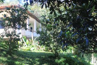 Chalé na floresta com frigobar - Ouro Preto - 7