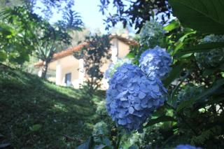 Chalé na floresta com varanda - Ouro Preto - 7