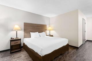 SureStay Hotel by Best Western Albuquerque Midtown - Albuquerque - 1