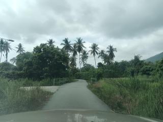 Lim Garden Homes - Balik Pulau - 4