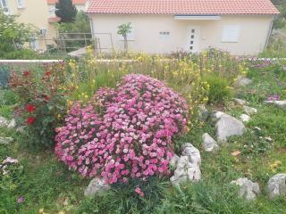 Apartments with a parking space Barbat, Rab - 22863 - Rab - 6