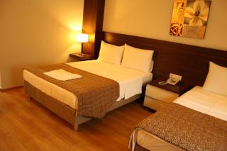 Pelemir Hotel - Duzce - 8