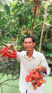 Ba Hung homestay - Ấp Hòa Phú (2) - 2