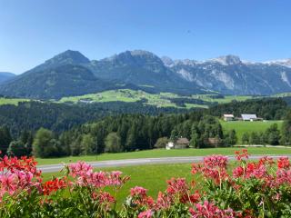 Apartmenthaus Oberlehen - Abtenau - 9