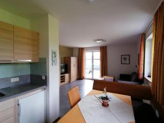 Apartmenthaus Oberlehen - Abtenau - 3