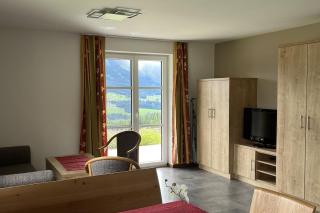 Apartmenthaus Oberlehen - Abtenau - 7