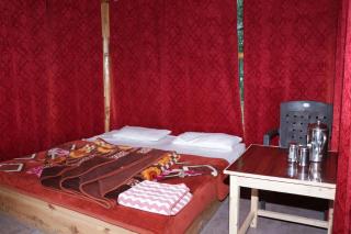 Trekking Cougars Huts - Dharamshala - 7