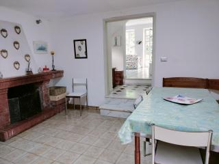 Il giardino di Emilia - 1