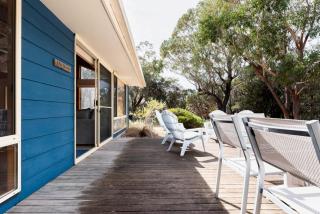 The Blue Bush Shack in Binalong Bay - Binalong Bay - 8