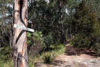 The Blue Bush Shack in Binalong Bay - 2