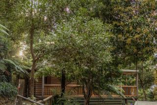 Fern House - Wye River - 9