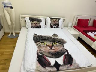 Fantastic apartment in the City Center - 1