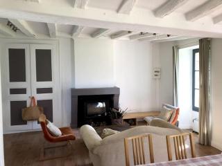 Petite Maison de charme 19ème - Vaas - 7