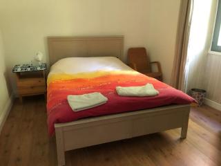 Petite Maison de charme 19ème - Vaas - 3