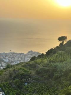 Tenuta le Maria al Monte Asia - Ischia - 7