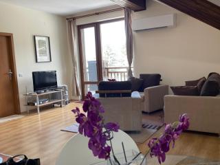 Cozy Mountain Apartment - 9