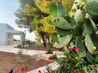 Villa Falesia, Capitolo, Monopoli - Monopoli - 8