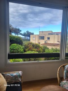 T2 bord de mer Agosta - Albitreccia - 5