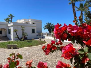 Villa Galatea - Gagliano del Capo - 0