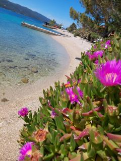 Apartmani BaSaDa by the sea Kuciste - Perna, Peljesac - 4545 - Kučište - 4