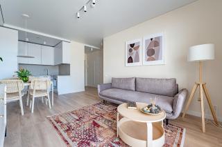 Cozy apartment with huge terrace - Vilnius - 2
