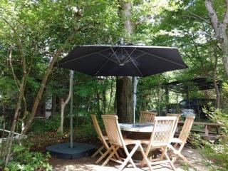 The No10 Forest Haven Villa - Tatsutori - 9