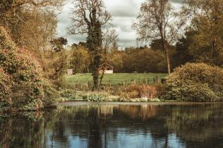 Tempo Manor Cabins - 3