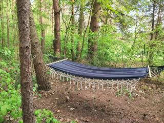 Wood Land Liswarta domki w drzewach - 4