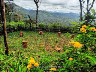 Nebula Nest Tent Camping Munnar - Munnar - 3