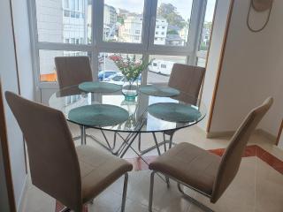 Mirasol - Viveiro - 8