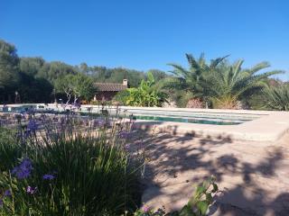 Finca Sa Cova Vella - 7